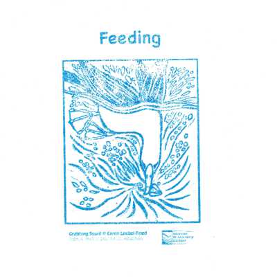 "Grabbing Squid" Stamp