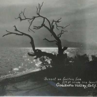 One of a series of Salton Sea postcards