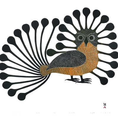 Radiant Owl