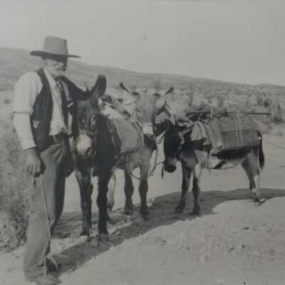 C. L. Lyons' burro train