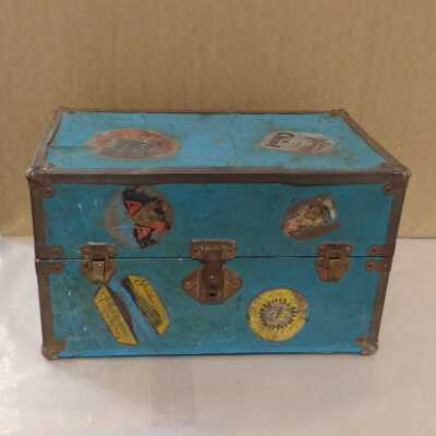 Lula's Travel Case