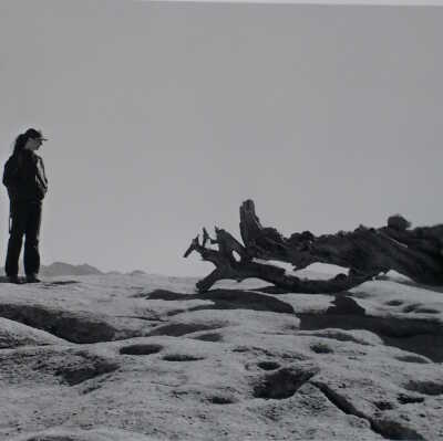 Jeffrey Pine, Sentinel Dome