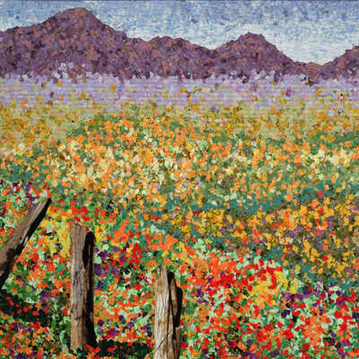 Poppy Reserve