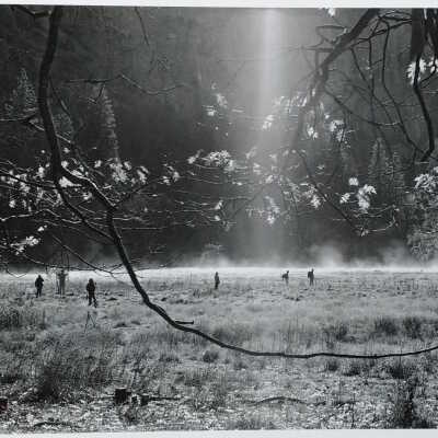 Walking in the Meadows Diptych