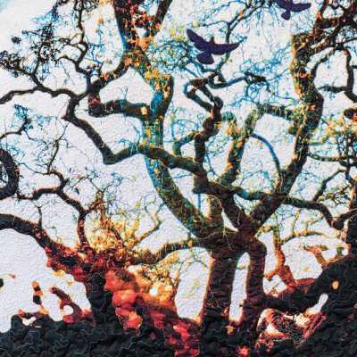 Healdsburg Oaks