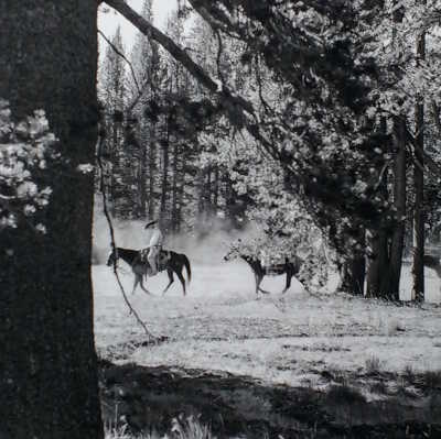 Mule Train