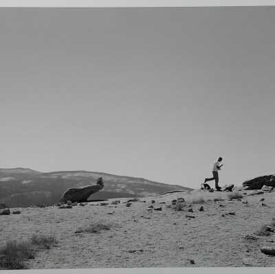 Half Dome Diptych