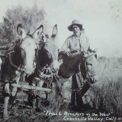 Man with burros