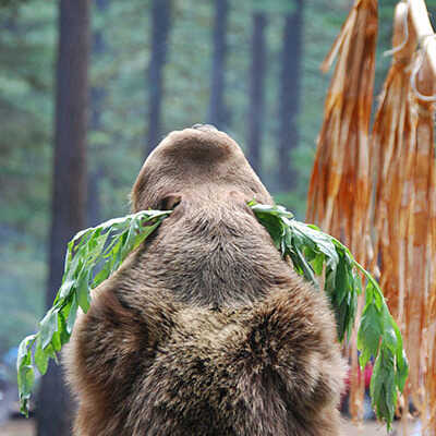 Bear Skin, Wormwood, Flag, 2009