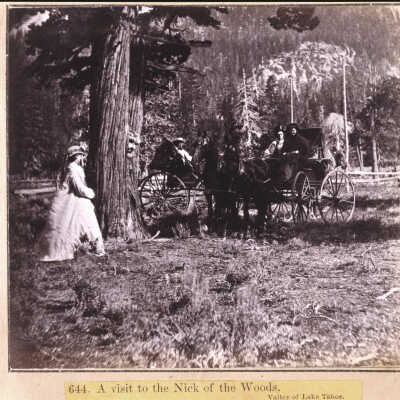 A visit to the Nick of the Woods