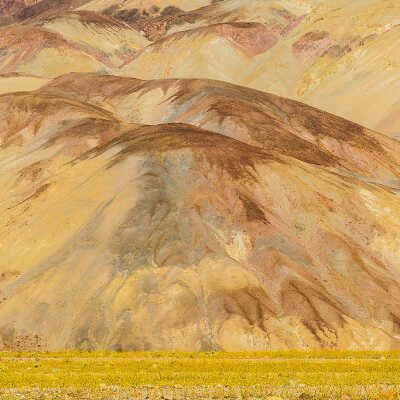 Desert Gold and Lake Deposits