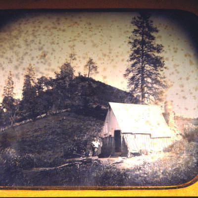 Cabin and Man