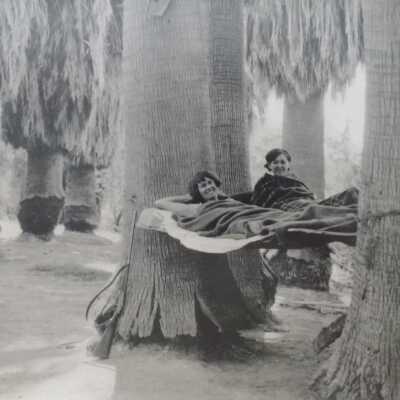 Susie and Lula lounge in hammocks