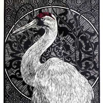 Whooping Crane