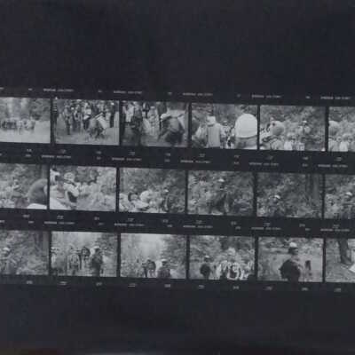 Ranger Ben Bear Walk Contact Sheet