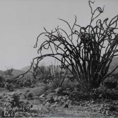 Susie Keef's Smith landscape photographs