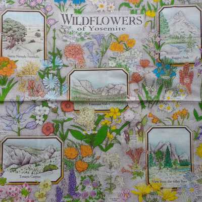 Wildflowers of Yosemite Bandana