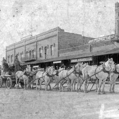 Freight Wagon and Team