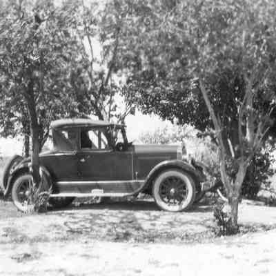 Camp Beale Springs