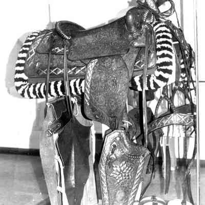 Andy Devine Saddle