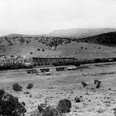 Railroad trains and station.