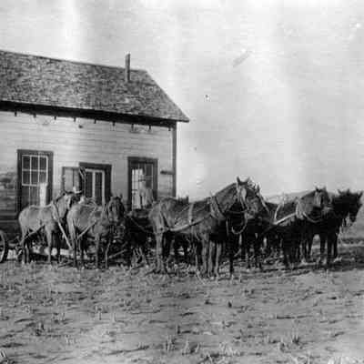 Teams Moving a House