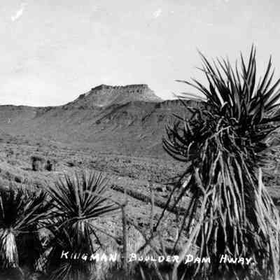 Fortification Mt.