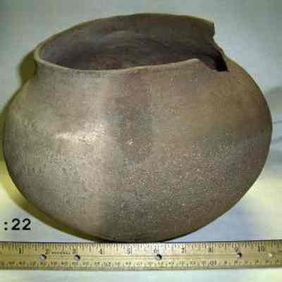 Pot