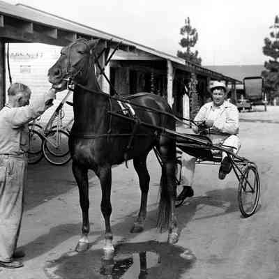 Andy Devine on "Sulky"