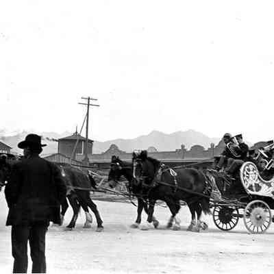 Circus Parade Wagon - Kingman