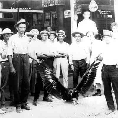 Group at Oatman, Arizona