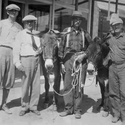 Miners and Mules