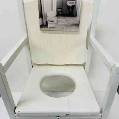 Child's Potty Chair
