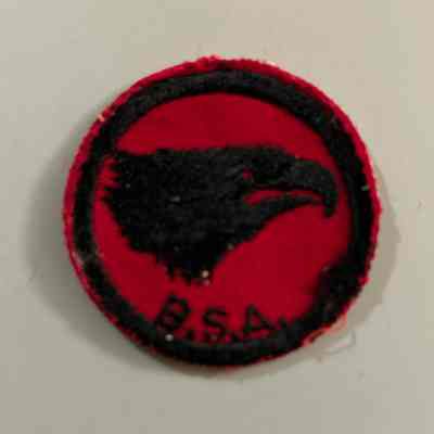 Boy Scout Eagle Patrol Patch