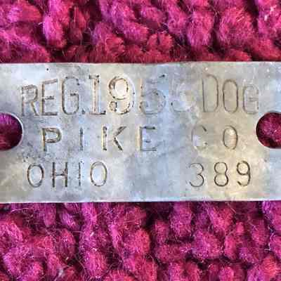 1955 Pike County Dog Tag