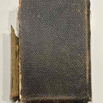 Ethel Greenbaum Bible