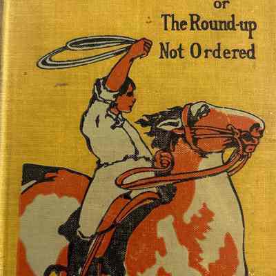 Boy Scouts on the Open Plains or The Round-up Not Ordered