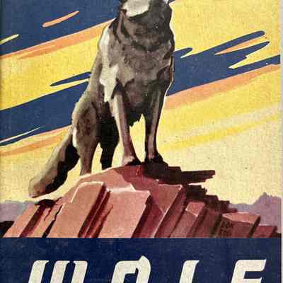 Wolf Cub Scout Book