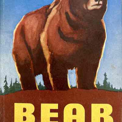 Bear Cub Scout Book