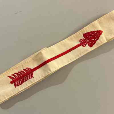 Boy Scout Sash