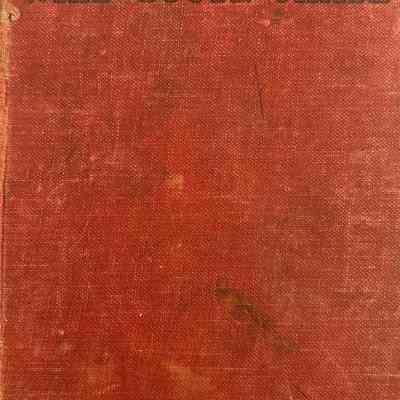 Roy Blakeley’s Wild Goose Chase