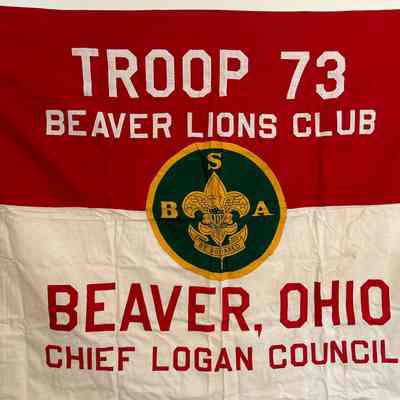 Boy Scout Troop Flag