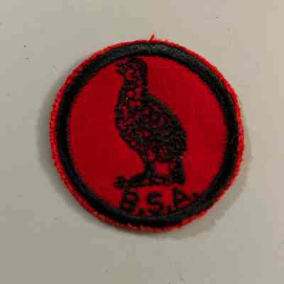 Boy Scout Quail Patrol Patch