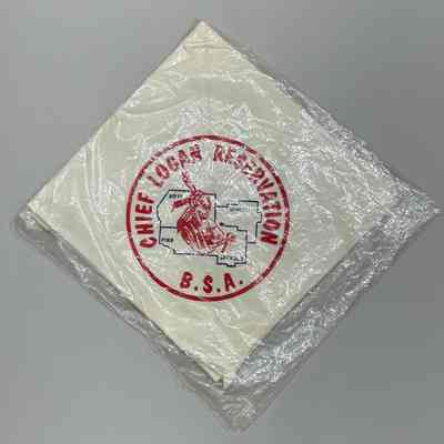 Boy Scout Neckerchief