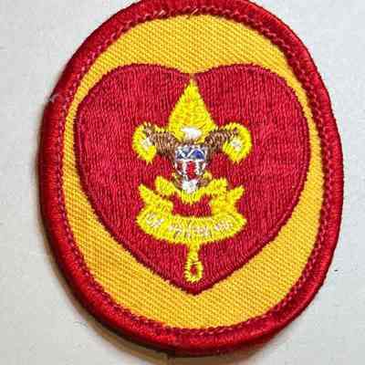 Boy Scout Life Badge