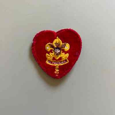 Boy Scout Life Rank Patch