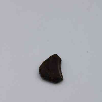 Closeup of basaltic glass core: A small, dark piece of basaltic glass core rests on a plain white background, showcasing its rough texture.
