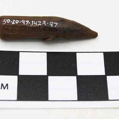 Bullet with accession number & scale: The image shows a rusted bullet laying above a black-and-white checkered scale with "CM" marked, indicating measurement units.