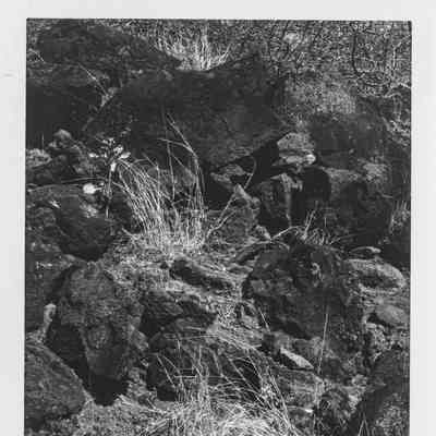 Site 637 #7