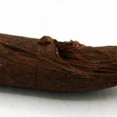 Closeup of bullet: The image shows a profile of a bent rusted bullet.